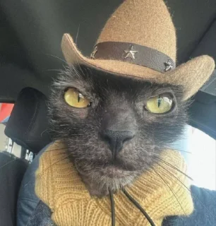 🤠