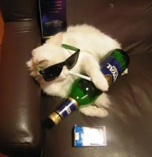 🍺