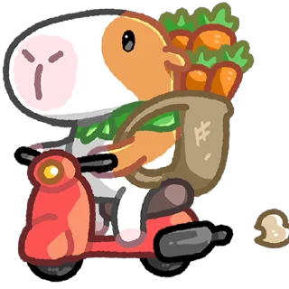🛵