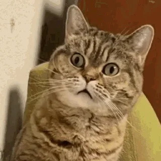 😳