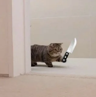🔪