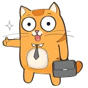 🐱
