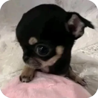 🫥