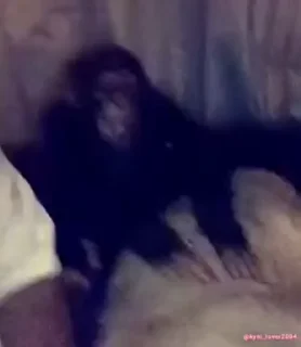 🐵