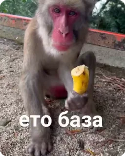 🍌