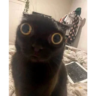 😳