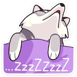 😴