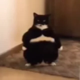 😡