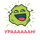 🎉