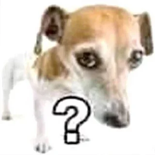 ❔