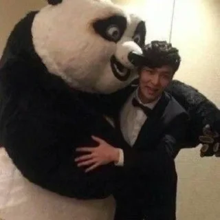 🐼