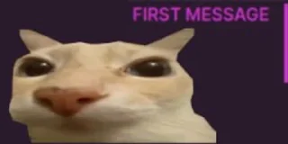 ✋