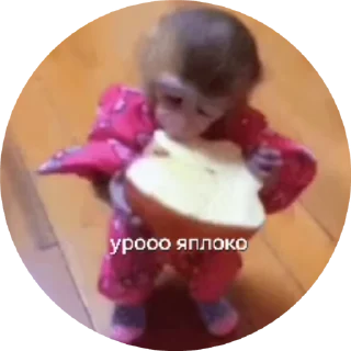 🌟
