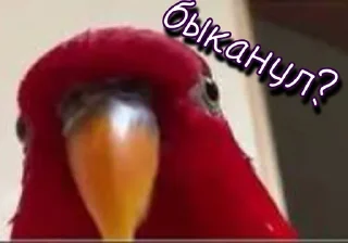 😡