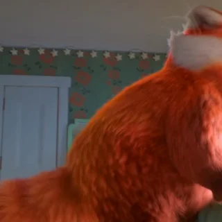 😴