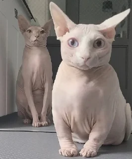 😳