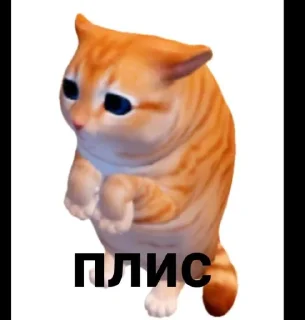🤩