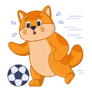 ⚽️
