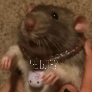🤨