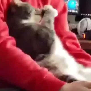 😦