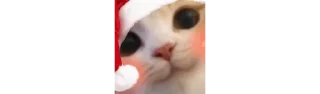 😻
