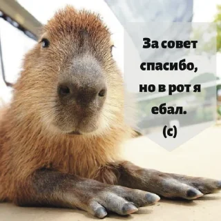 👍