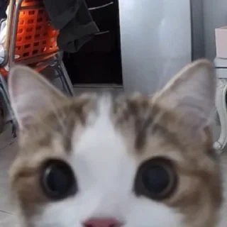 😮