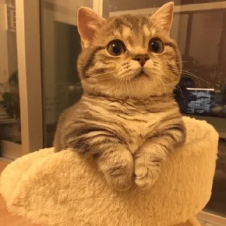 👋