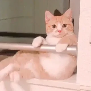 😐