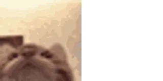😋
