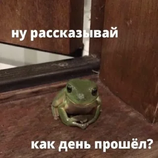 🐸