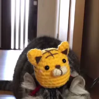 🐯