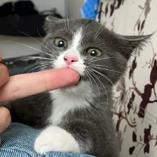 😛
