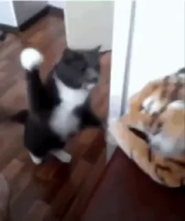 🤛