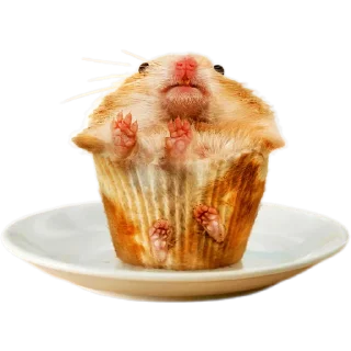 🧁