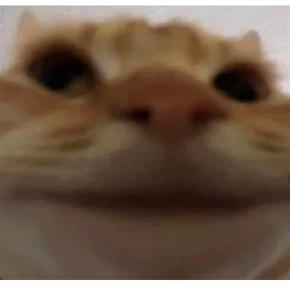 🙂