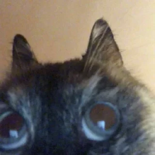 😶