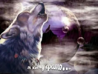 🐺