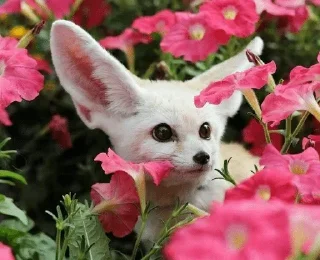 💐