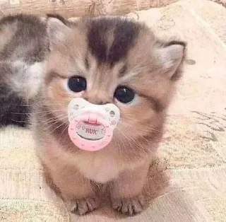 🥺