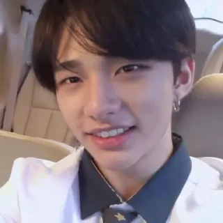 🌟