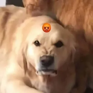 😡