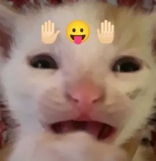 😖