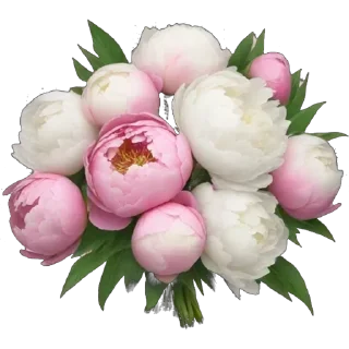 💐