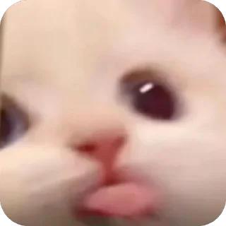 😛