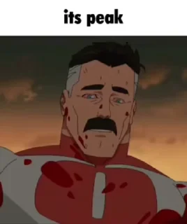 🌟