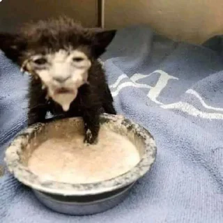😵