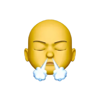 😤