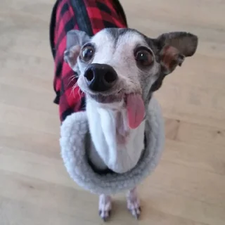 🤪