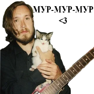 😺